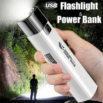 Flash with power bank charger